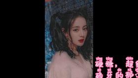 吃瓜小说娱乐圈完结文,瓜田里的甜蜜复仇